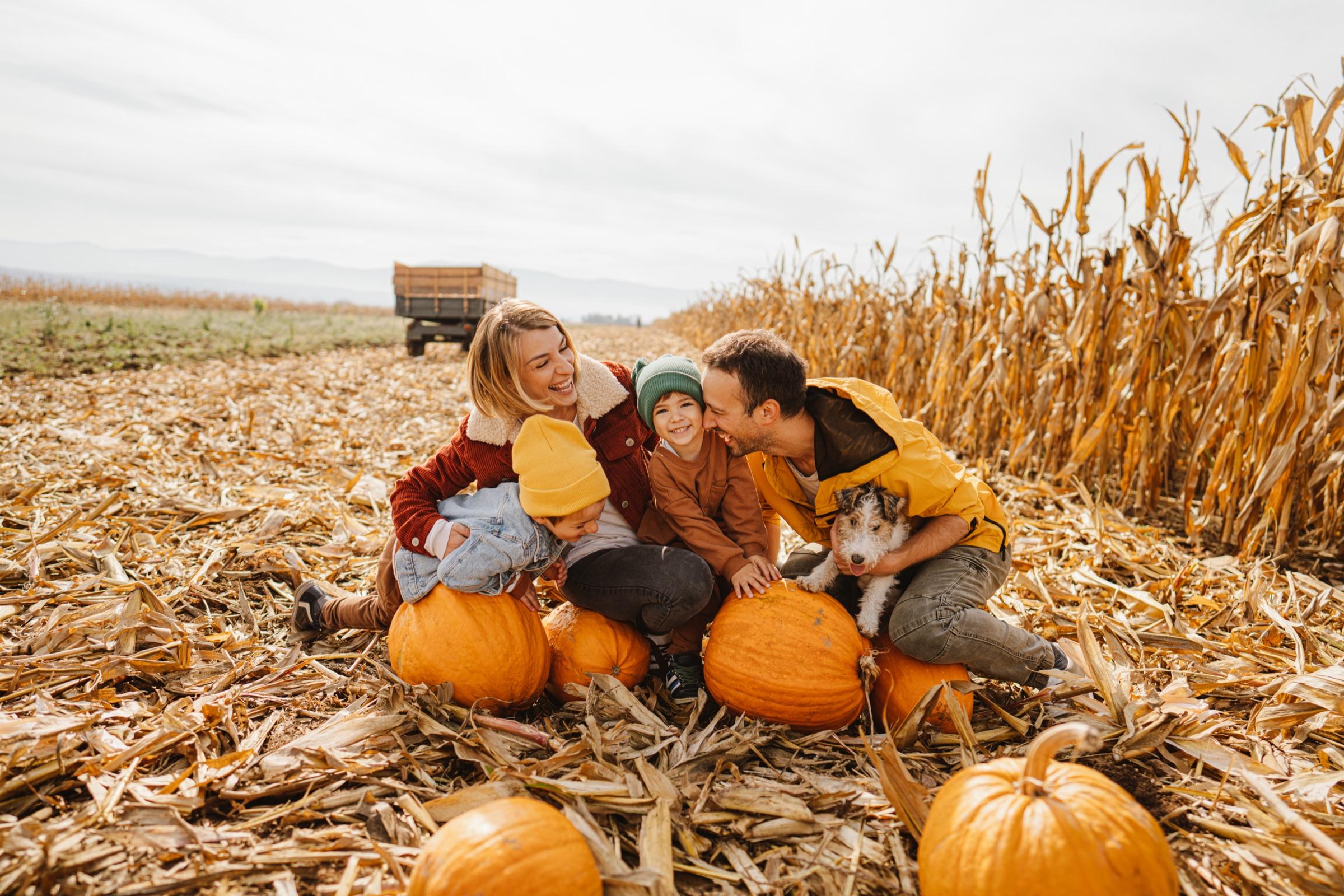 A laughing family with their dog sitting among pumpkins on an autumn day
